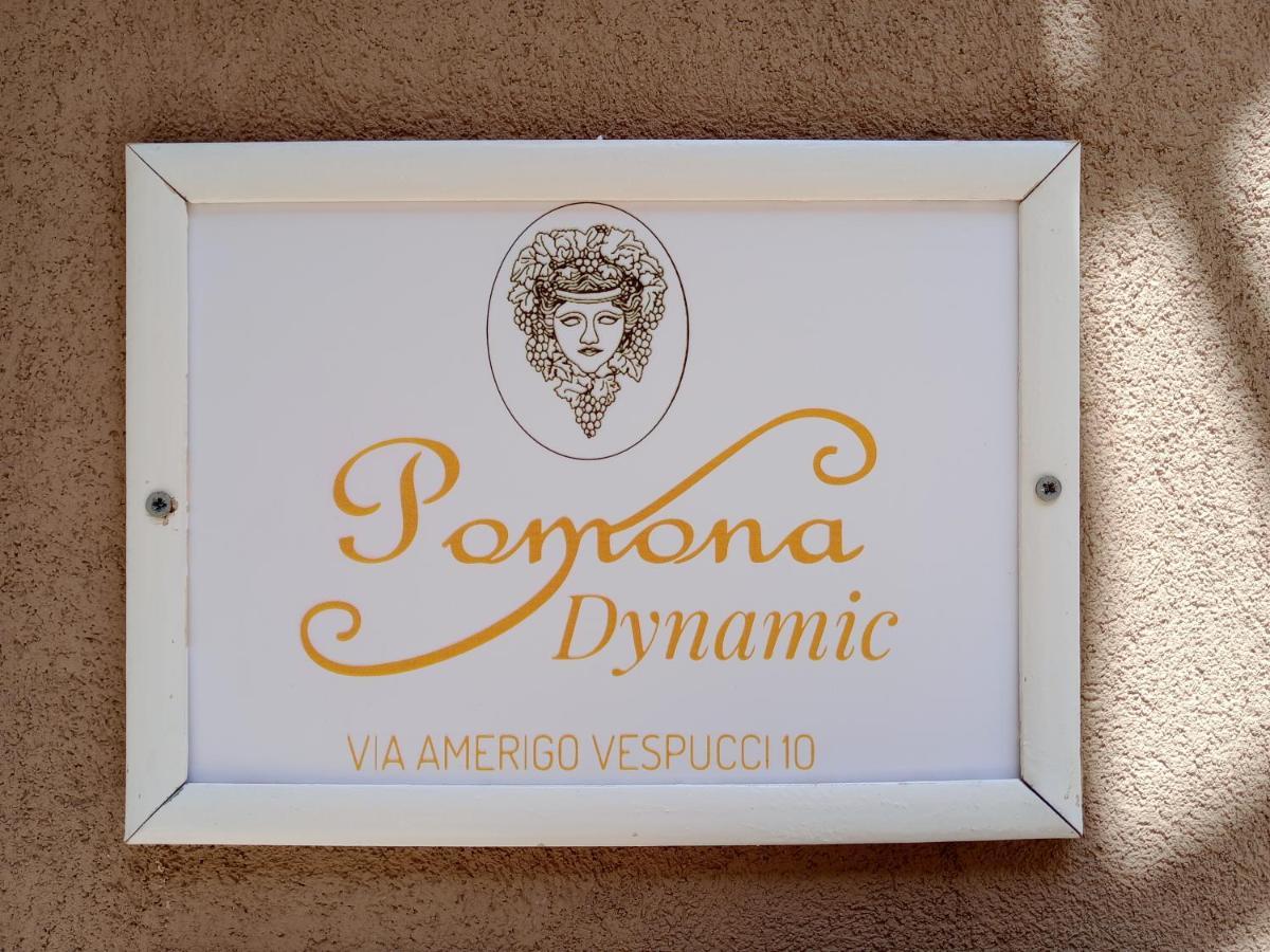 노토 Pomona Dynamic 빌라 외부 사진